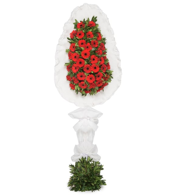 Tek Katl Krmz Gerbera iekleri elenk